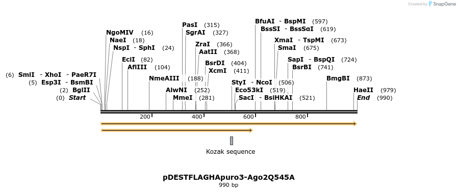 79470_map