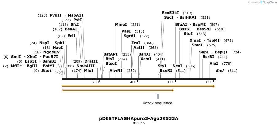 79472_map
