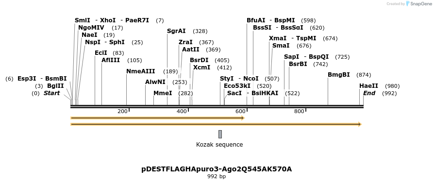 79475_map