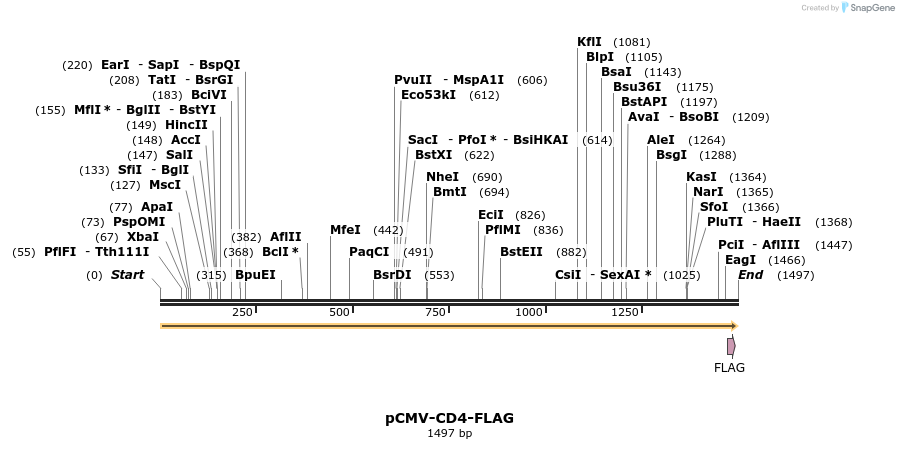 79478_map