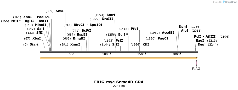 79481_map