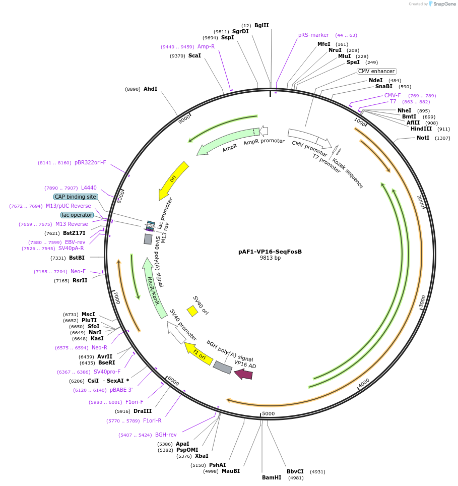 79490_map