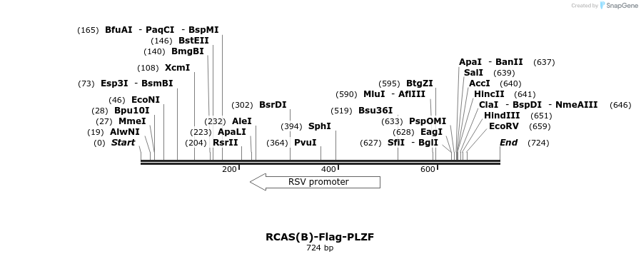 79493_map