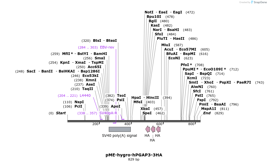79494_map