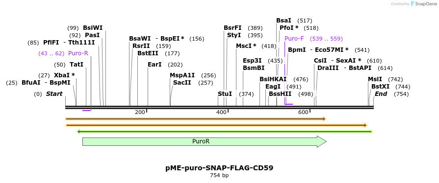 79496_map