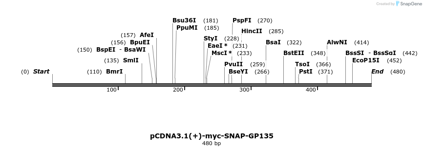 79497_map