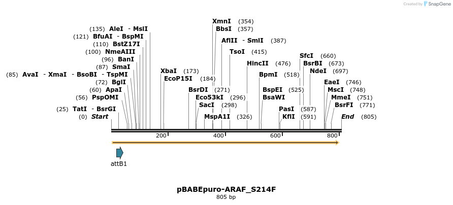 79498_map