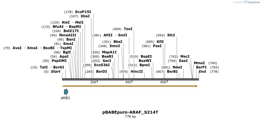 79499_map
