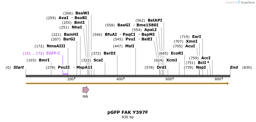 79500_map