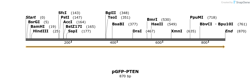 79501_map