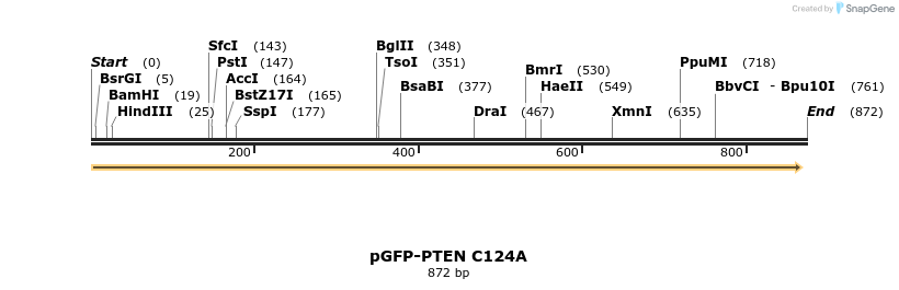 79502_map