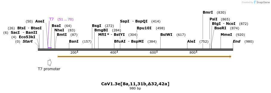 79503_map