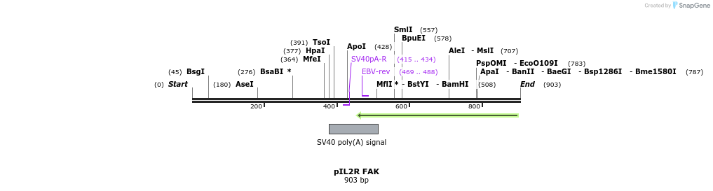 79505_map