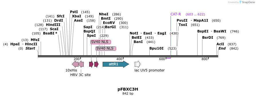 79506_map