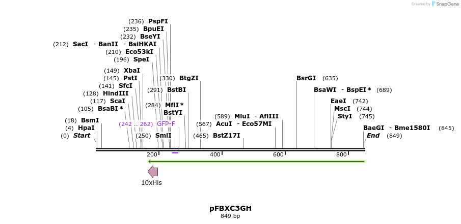 79507_map