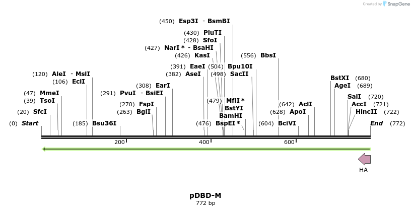 79509_map