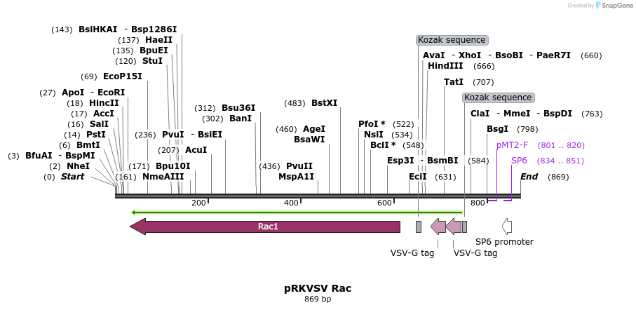 79511_map
