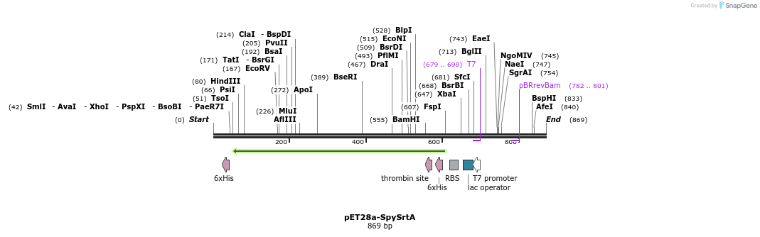 79516_map