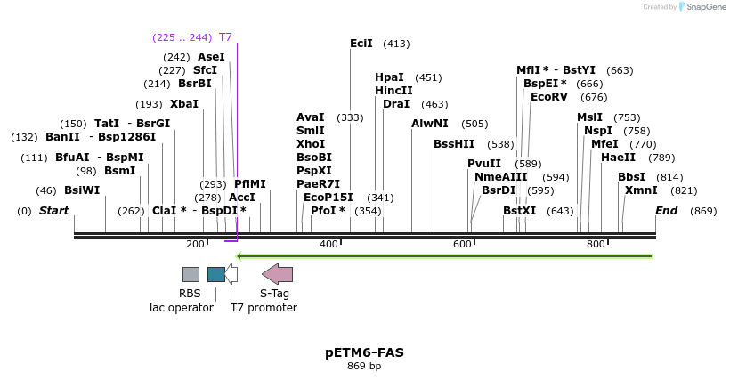 79517_map