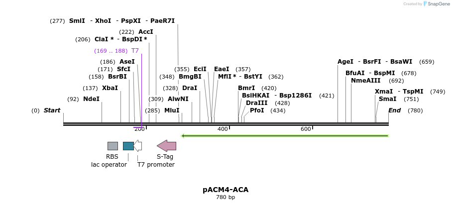 79518_map