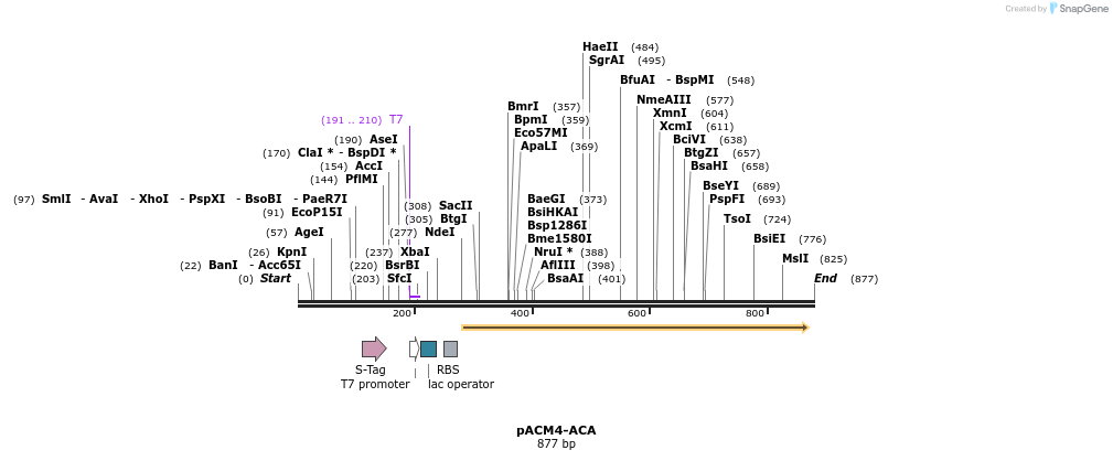 79519_map