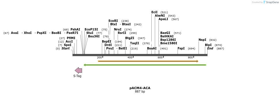 79520_map