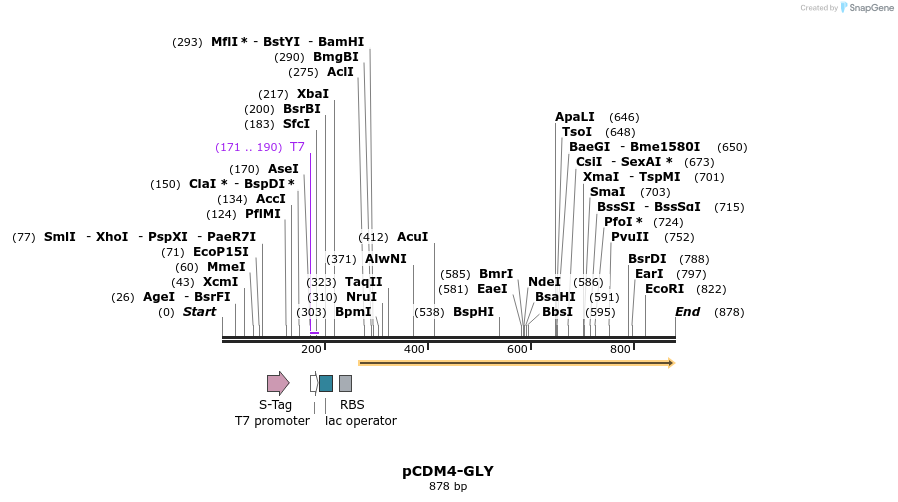 79521_map