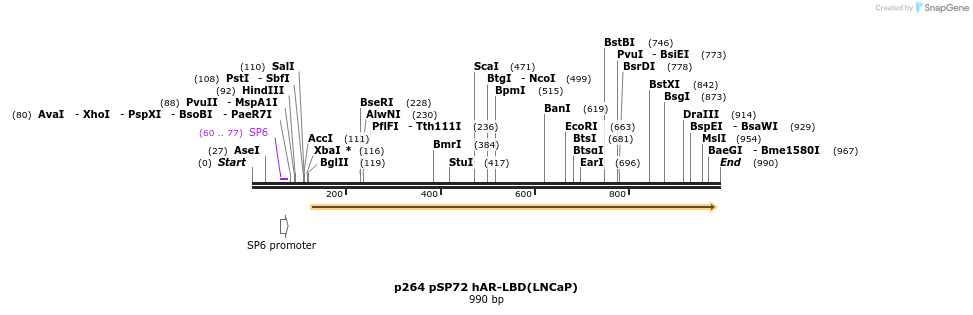 79528_map