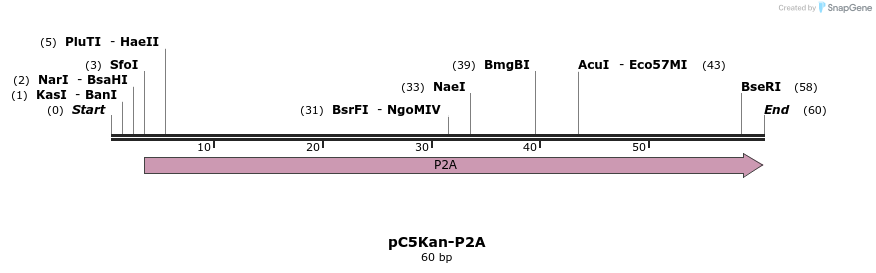 79555_map