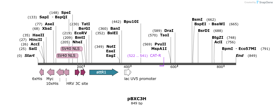 79563_map