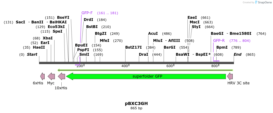 79565_map