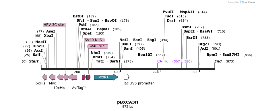 79567_map
