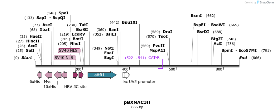 79569_map