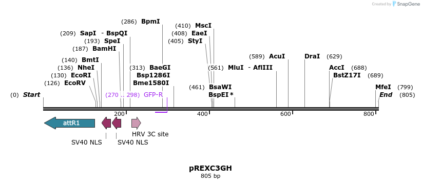79571_map