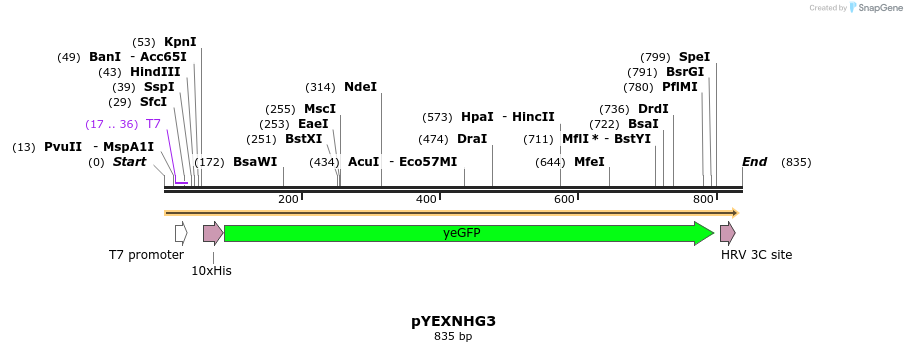 79575_map