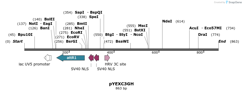 79577_map