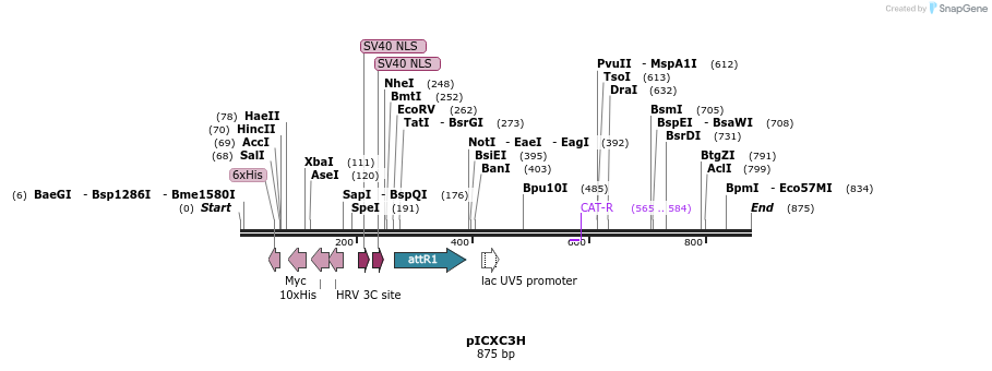 79597_map