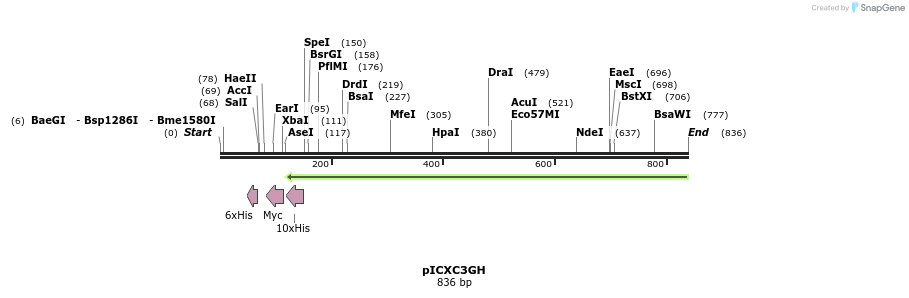 79598_map
