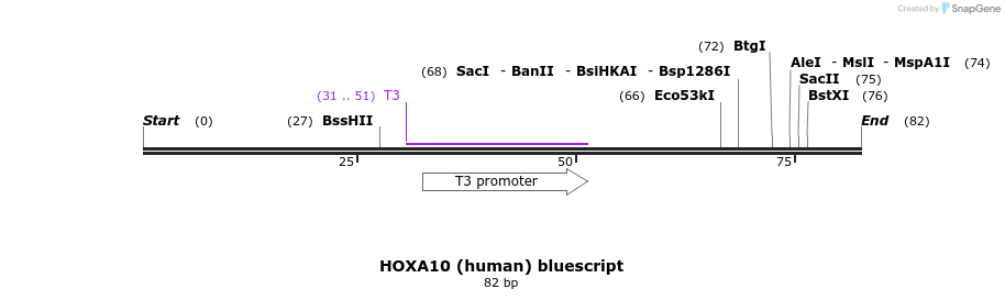 79603_map