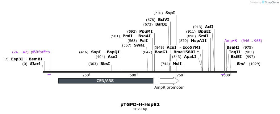 79604_map