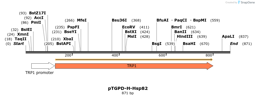 79605_map