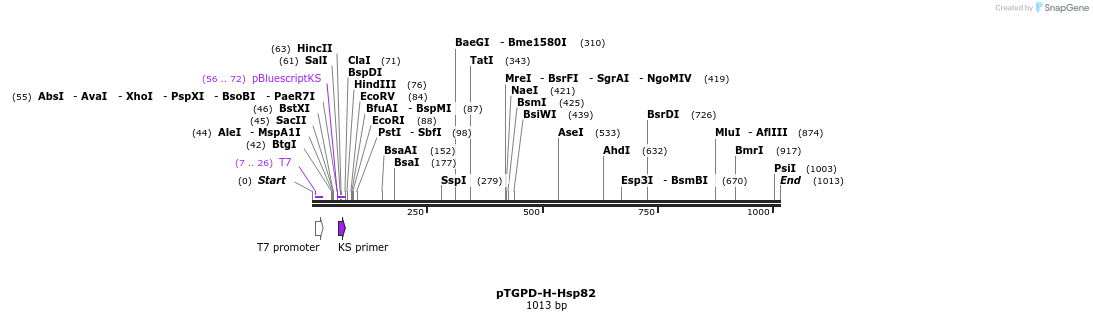 79607_map