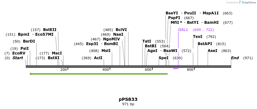 79611_map