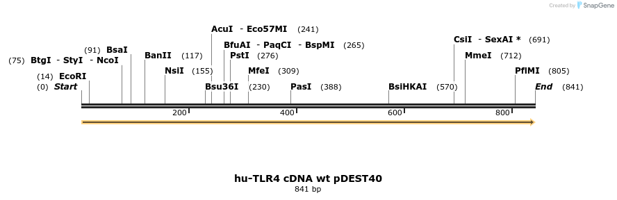 79612_map