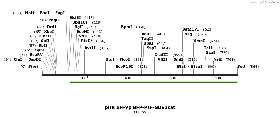 79616_map