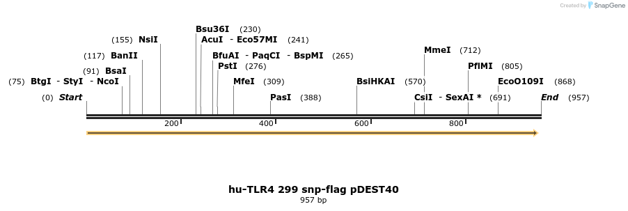 79617_map