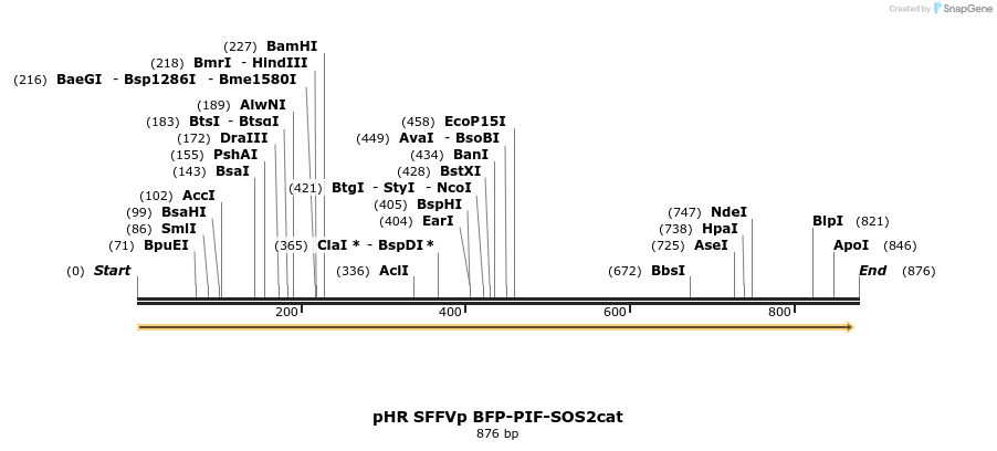 79618_map