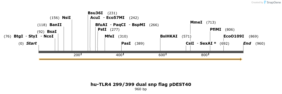 79619_map