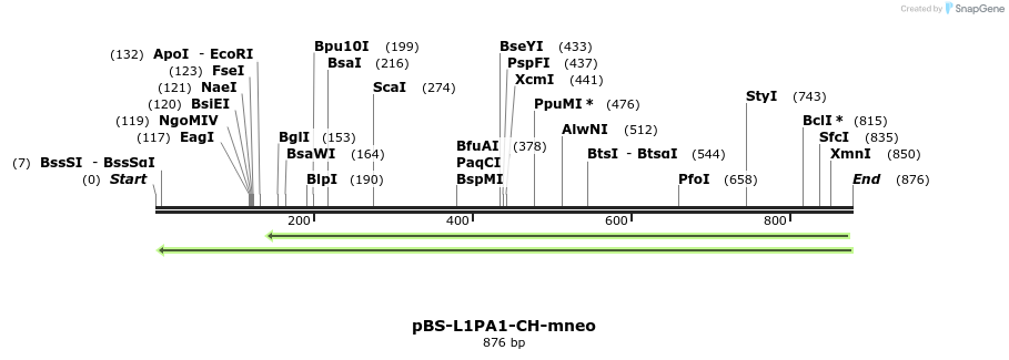 79620_map