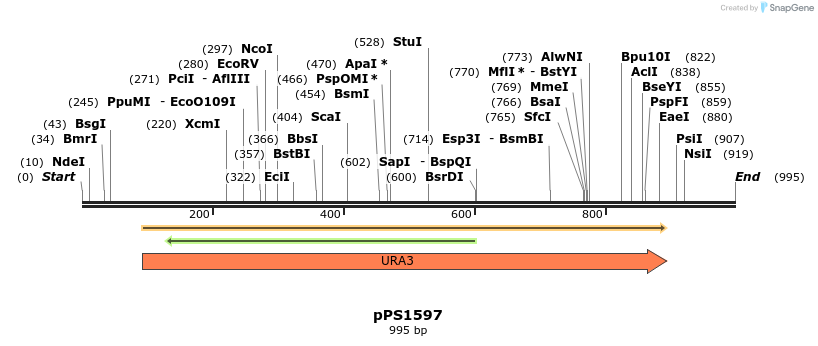 79622_map